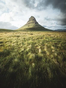 Photo art by Roman Huber: summer landscape featuring Kirkjufell and blooming meadows