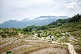 Fotokunst von Oona Kallanmaa: Reisfelder in Yunhe, grüne Terrassenlandschaft.