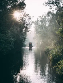 Photo art by Sebastian ‚zeppaio' Scheichl: dense jungle landscape in Borneo