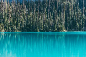 Photo art by Sebastian ‚zeppaio' Scheichl: tree reflection in turquoise water