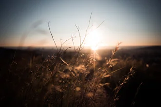 Fotokunst von Thomas Christian Keller: Sonnenaufgang über dem Gras in Barcelona