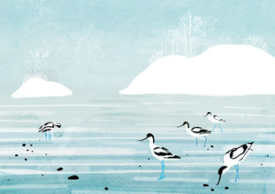 Katherine Blower, Avocets
