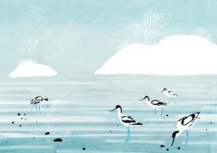 Illustration von Katherine Blower: Avocets in sanften Winterfarben am Wasser
