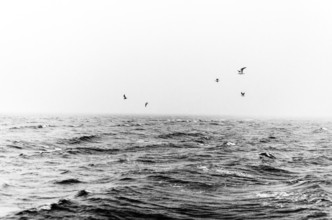 Lukas Gawenda, Rough Sea, Norway (Norway, Europe)