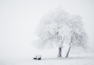 Heiko Gerlicher, Eiszeit - Germany, Europe)