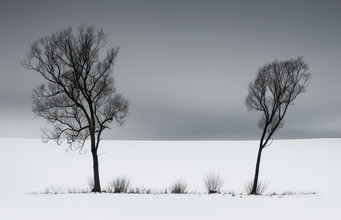 Heiko Gerlicher, Two Willows