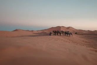 Fotografische Darstellung der Sahara: Sanddünen unter klarem Himmel, ruhige Atmosphäre.