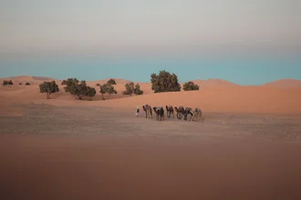 Fotokunst von Thomas Christian Keller: Weite der Sahara mit Kamel im Sanddünen.