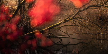 Anke Butawitsch, through (Germany, Europe)