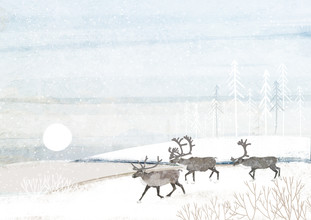 Katherine Blower, Reindeer Herd