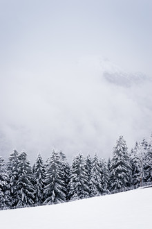 Martin Wasilewski, Winter in den Alpen