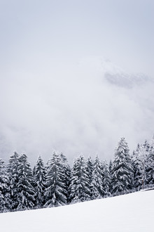 Martin Wasilewski, Winter in the Alps