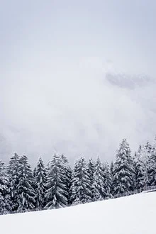Winter landscape in the Alps with snow-covered mountains and serene forests
