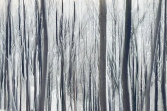Blurred trees in snow, soft colors, and a calm atmosphere