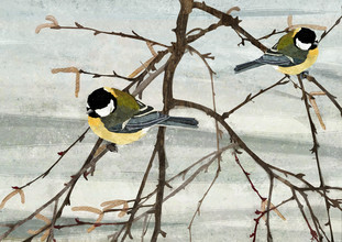 Katherine Blower, Pair of Great Tit Birds