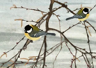 Wall art by Katherine Blower: a pair of cute great tit birds in a natural setting