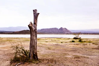 Photo art by Victoria Knobloch: tranquil landscape at Lake Elementaita in Kenya