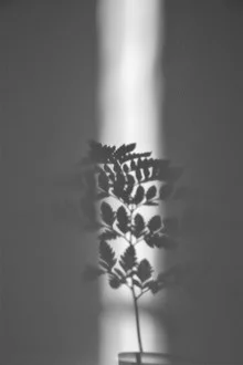 Ray of Sunlight - fotokunst von Studio Na.hili