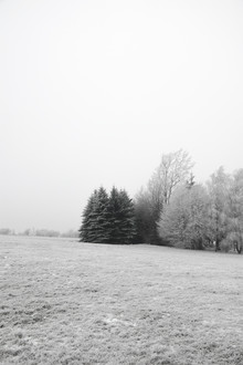 Studio Na.hili, Winter Wonderland