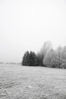 Winter landscape with snow-covered forest by Studio Na.hili