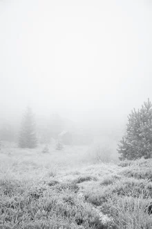Photo art: a house in the fog of a winter forest