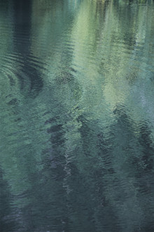 Studio Na.hili, Forest in the lake