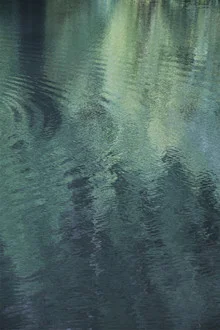 Fotokunst von Studio Na.hili: beruhigende Waldreflexion im See