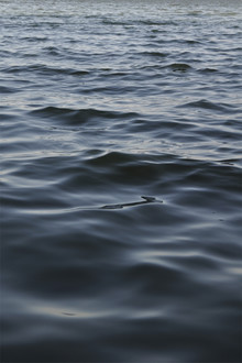Studio Na.hili, Feet in the water