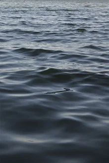 Füße im Wasser, entspannendes Gefühl, sanfte Wellen und ruhige Stimmung.