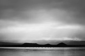 Photo art by Victoria Knobloch: mysterious landscape in Kenya featuring water and birds