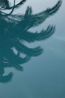 Studio Na.hili, Palms in the Pool