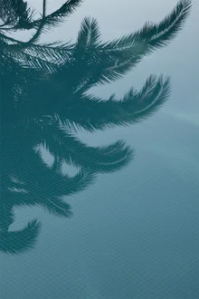 Palms in the Pool - fotokunst von Studio Na.hili