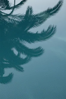 Fotokunst von Studio Na.hili: Palmen spiegeln sich im Pool, sommerliche Stimmung.