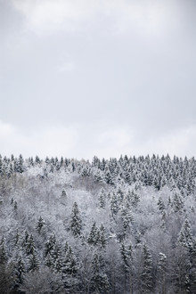 Studio Na.hili, White Winter Forest (Czech Republic, Europe)