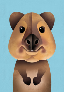 Dieter Braun, Quokka