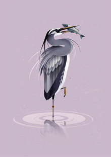 Dieter Braun, Grey Heron