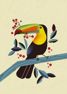 Dieter Braun, Toucan