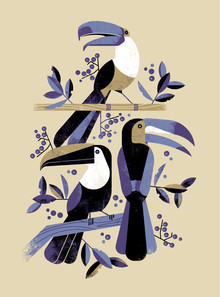Dieter Braun, Toucan