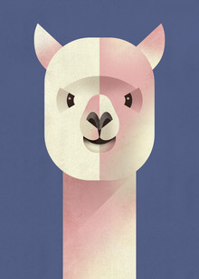 Dieter Braun, Alpaca