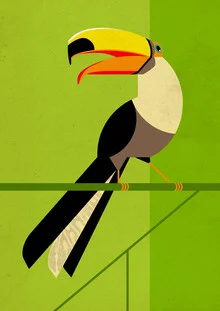 Toucan #2 - Fineart photography by Dieter Braun