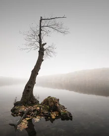 Photo art by Ronny Behnert: tranquil autumn lake with fog and reflections