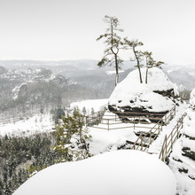 Ronny Behnert, Island of pines - Sächsische Schweiz
