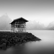 Ronny Behnert, Tørrfisk Lofoten