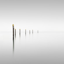 Ronny Behnert, Modo Venezia