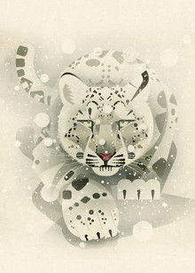 Dieter Braun, Snow Leopard