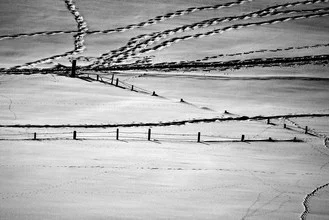 Fotokunst von Sascha Hoffmann-Wacker: verschneite Landschaft mit einem Zaun