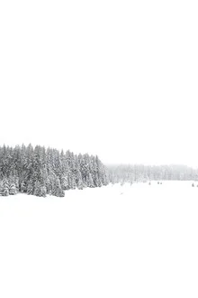 White White Winter 1/2 - fotokunst von Studio Na.hili