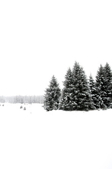 Studio Na.hili, White White Winter 2/2