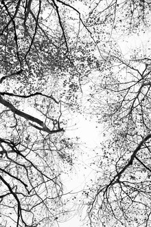 Studio Na.hili, Reaching into the Sky