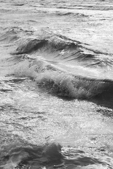 Take me Surfing - fotokunst von Studio Na.hili